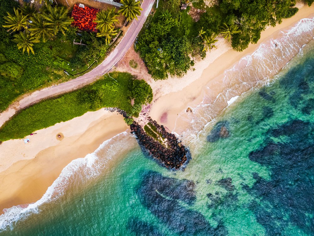 Ceylon Wild Horizons — image 5