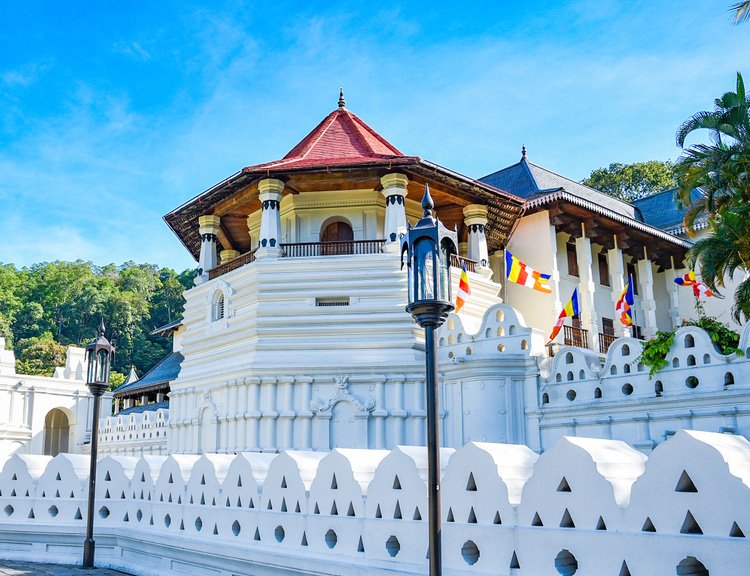 Ceylon Luxe Journey — image 4