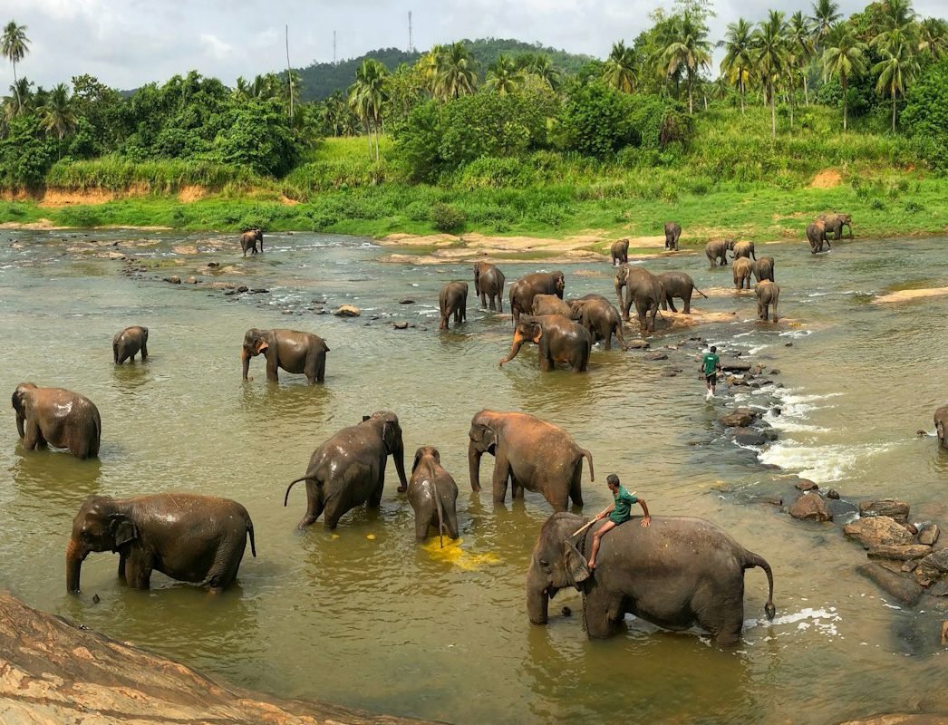 Ceylon Family Journey