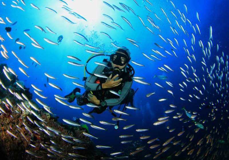 Snorkelling, Surfing & Coastal Marine Exploration