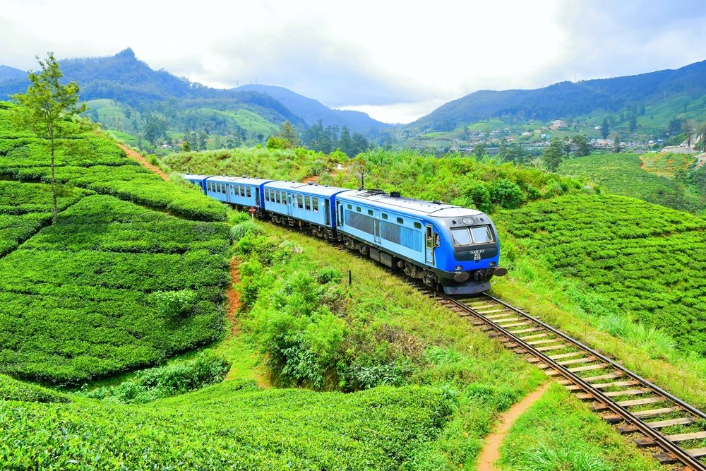 Ceylon Family Journey — image 2