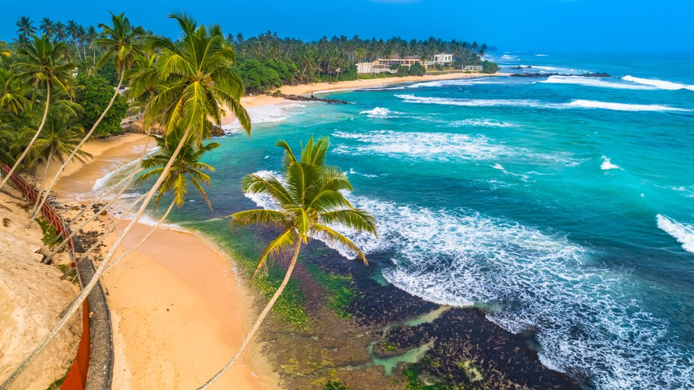 Ceylon Luxe Journey — image 7
