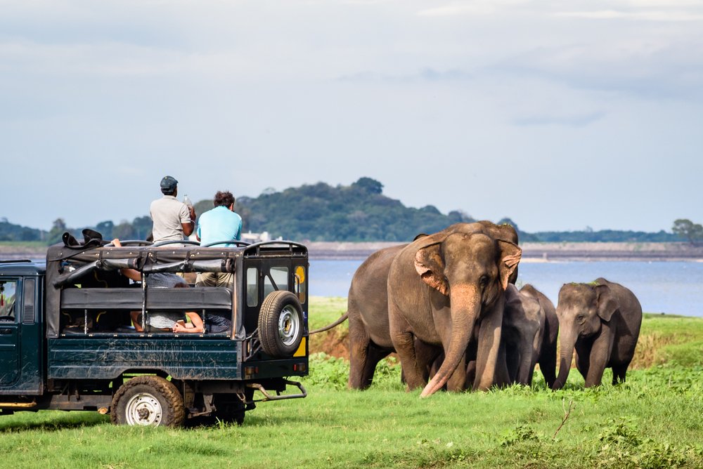 Ceylon Grand Journey — image 4